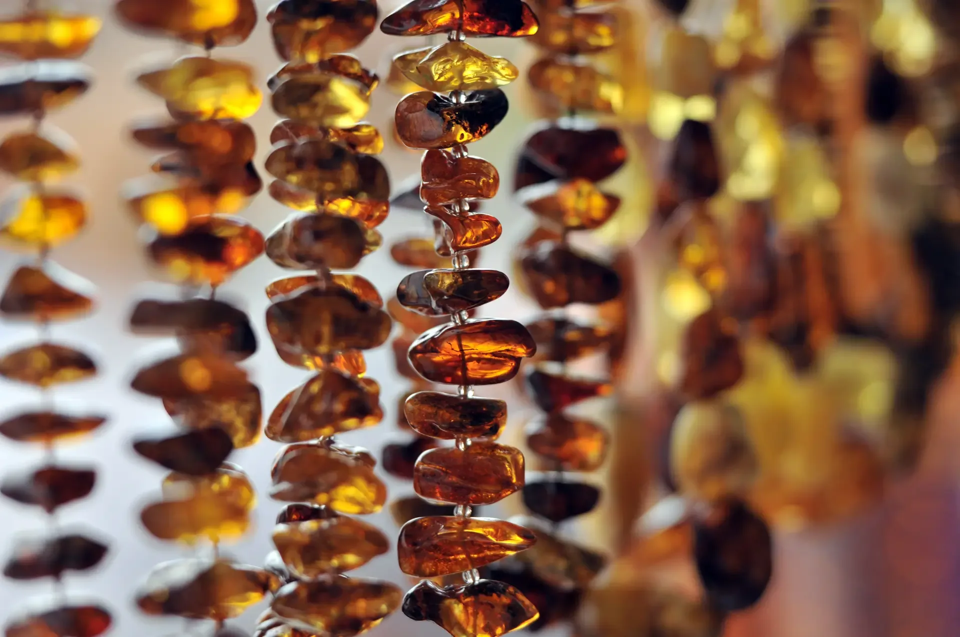 Polished pieces of Baltic amber displayed by a Gdańsk artisan