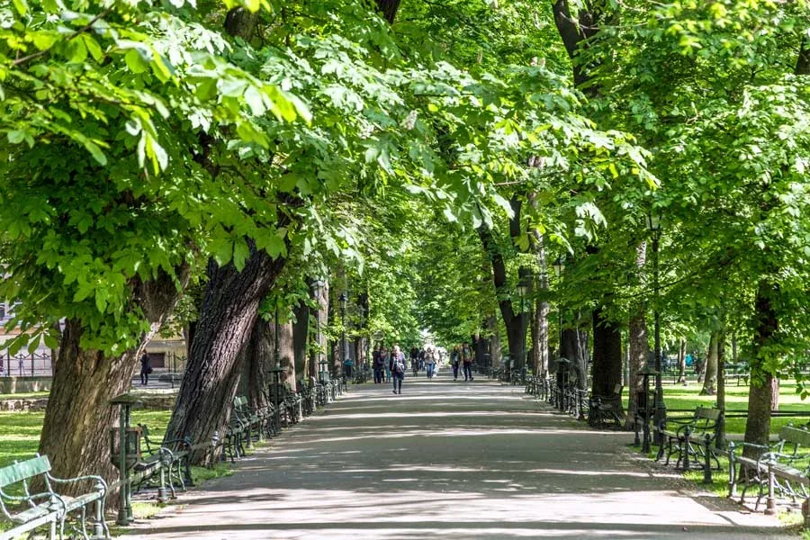 Tree-lined walking path through Planty Park around Kraków Old Town
