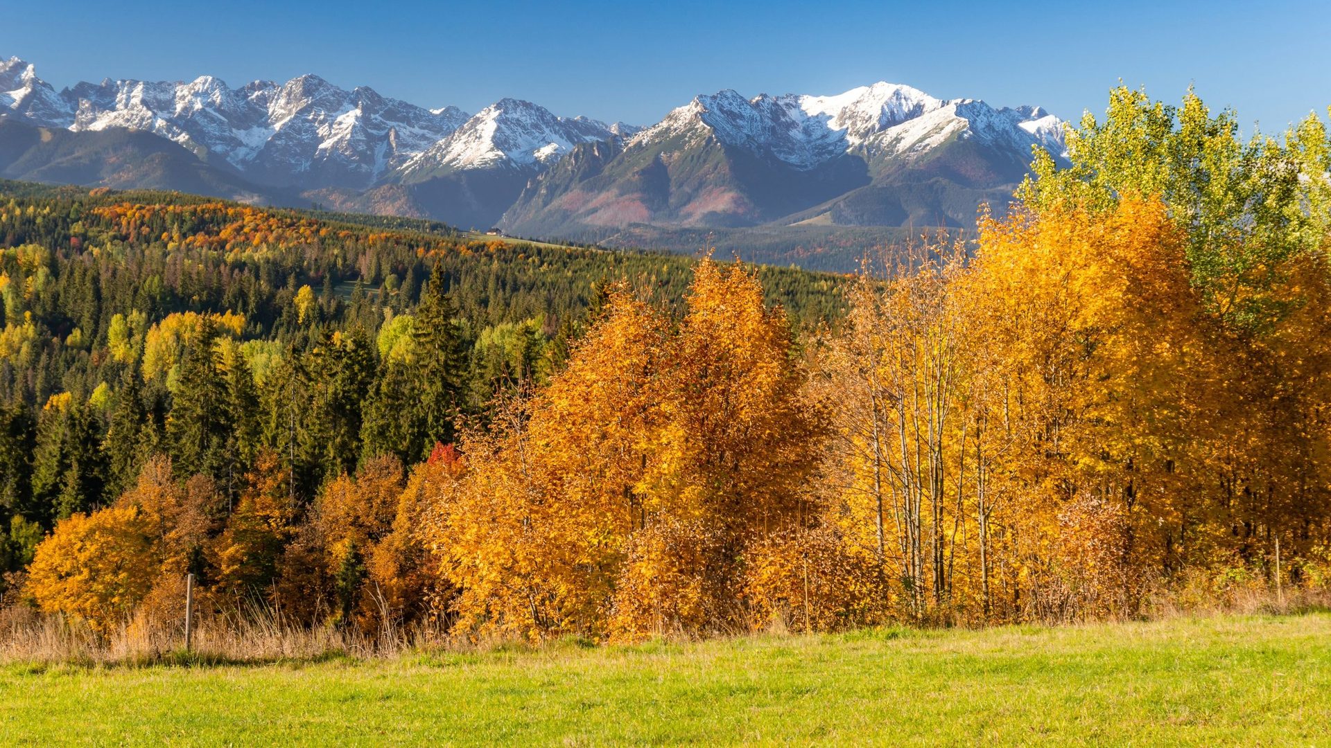 Autumn colors in the Tatra Mountains, Poland